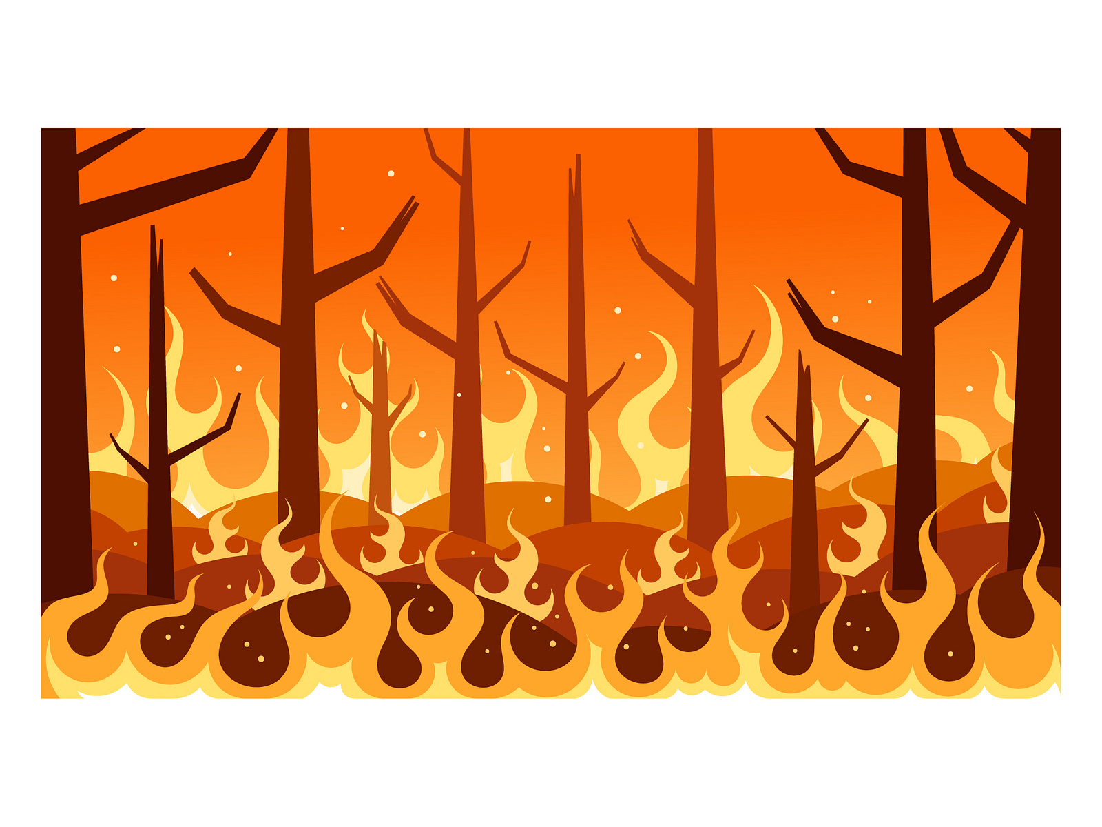 What Is Forest Fire Disaster