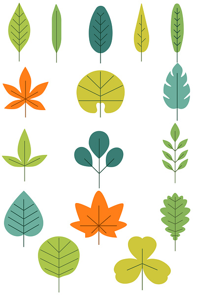 Flat Tree illustrations icon adobe illustration cartoon cartoon art supply clip art clipart design figma flat design illustration