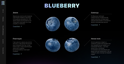 Blueberry start page animation blueberry design gradient graphic design illustration typography ui ux
