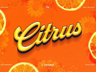 DIVIDED - Citrus branding design download effect effects elements free free download graphic design