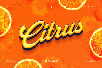 DIVIDED - Citrus branding design download effect effects elements free free download graphic design