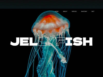 Jellyfish landing page animal comment feedback freelance hire jellyfish landingpage learn sealife share ui underwater ux webdesign