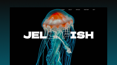 Jellyfish landing page animal comment feedback freelance hire jellyfish landingpage learn sealife share ui underwater ux webdesign