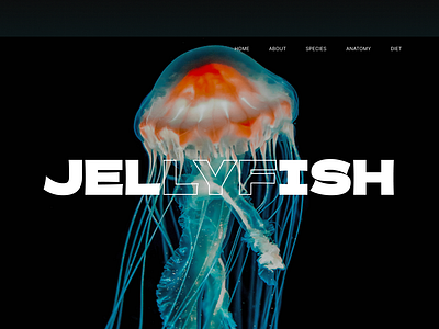 Jellyfish landing page animal comment feedback freelance hire jellyfish landingpage learn sealife share ui underwater ux webdesign