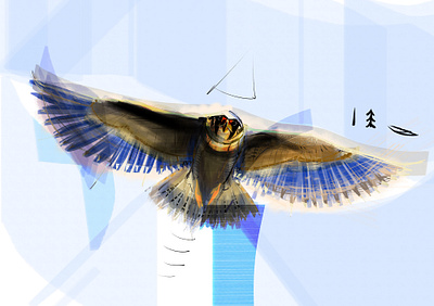 Falcon bird falcon illustration