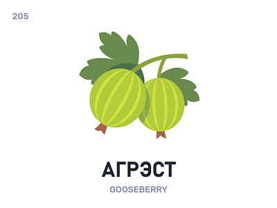 Агрэ́ст / Gooseberry belarus belarusian language daily flat icon illustration vector