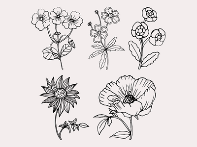Floral line Art botanical line art design floral illustration