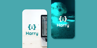 Digital Product Design: Harry design graphic design logo