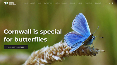Cornwall Butterfly Conservation design web design web development