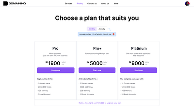 Domaining payment plan Platform app design ui ux
