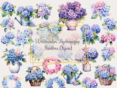 Watercolor Hydrangea Flowers Clipart design floral graphics graphic design illustration pastel graphics pink florals watercolor clipart