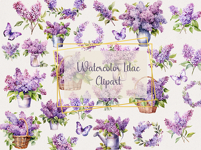 Watercolor Lilac Clipart design floral graphics graphic design illustration pastel graphics pink florals watercolor clipart watercolor lilac clipart