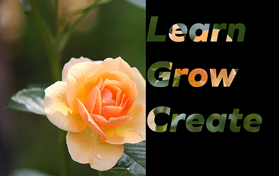 Learn. Grow. Create. Graphic