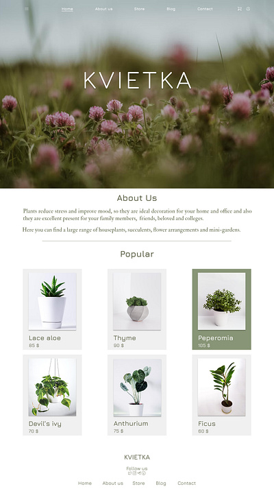 Plant store web-site KWIETKA design flower store flowers plant store store store website ui ux website