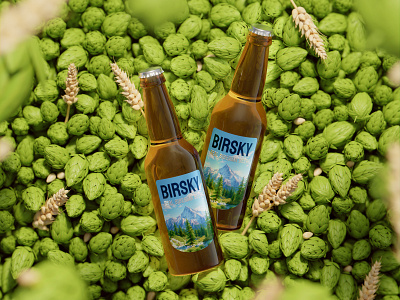 Birsky and hops 3d ads advertisement beer branding cgi design digitalart hops icons illustration logo promo render web