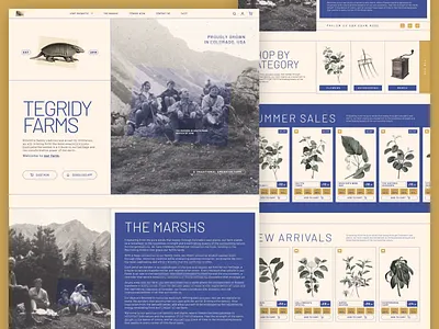 Tegridy Farms Landing Page v2 branding dailyui figma landing page south park ui web