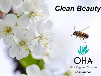 Clean Beauty - Social Media Content adobe illustrator adobe photoshop beauty branding clean beauty design graphic design healthy illustration logo design natural oha skincare organic skincare social media content social media marketing