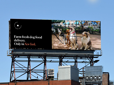 Clean Bowl Club — Billboard Design billboard billboard design branding clean design dog graphic design illustration logo minimal pattern pet poster poster design typography
