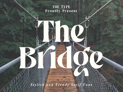 The Bridge | Stylish Trendy Serif beauty canva classic classy display fancy fashion feminine font groovy luxury magazine modern retro serif stylish trend trendy typeface vintage