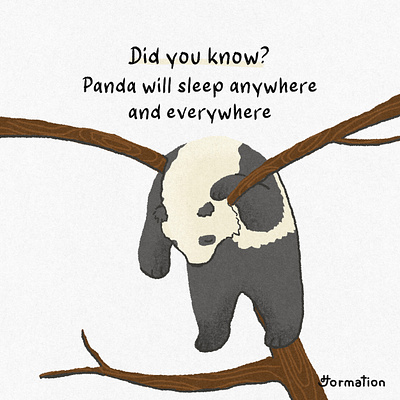 Panda will sleep anywhere and everywhere animal cartoon cute did you know digital art digital illustration drawing fact fun fact illustration panda wildlife zoo