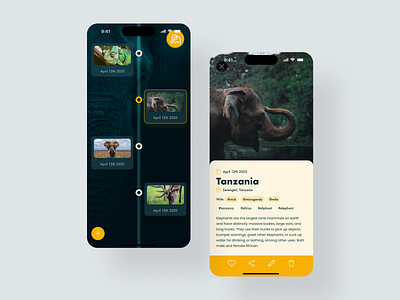 Mobile App Design adobe xd android app animals app app design app ui design elephant figma forest forest app ios app jungle mobile app mobile app design ui design wilderness app