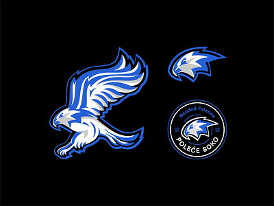 Ncoded Falcon american animal badge bird branding design eagle falcon font gly graphic design head icon icon set illustration logo mascot symbol typo vector