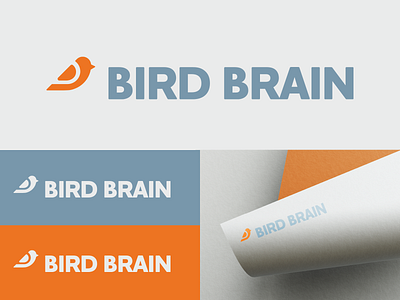 Bird Brain birdbrain branding design graphic design identity logo