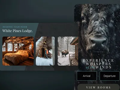 Wild Winds Buffalo Preserve - Sample UX/UI Screens ui ux