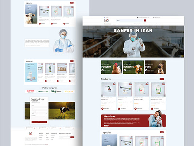 Shop Web Site Design: Home page / shop Page / single product design elementor fronend graphic design illustration ui ux vector wordpress