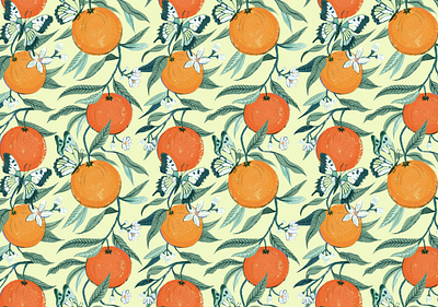 Oranges botanical digital folioart fruit illustration olivia waller painting pattern print texture