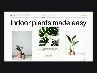 Plants Shop design ui ux web design
