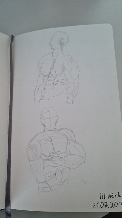muscles 2 3d design graphic design illustration