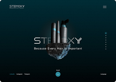 Stemoxy branding dark color design ui ux