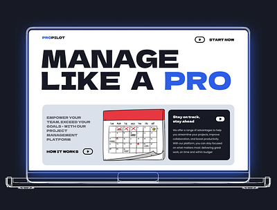 ProPilot - Project Management and Collaboration Platform Design design product project managment task tracking team ui ux web