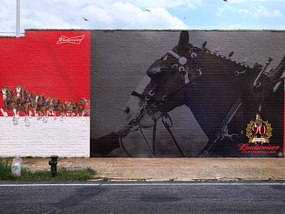 Budweiser Clydesdales Anniversary Posters anniversary branding budweiser clydesdales posters typography