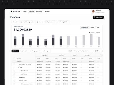 Finance forecast bar chart crm data management data model data modeling excel excel sheet filters finance finances financial forecast financial overview forecast forecasting google sheet hris numbers salesforce tabs workflow