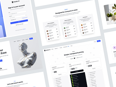 Example pages - Riddle UI dashboard dashboard ui dashboard ux design design system design ui figma figma design landing page one page pricing page product design ui ui kit ui ux ux web design