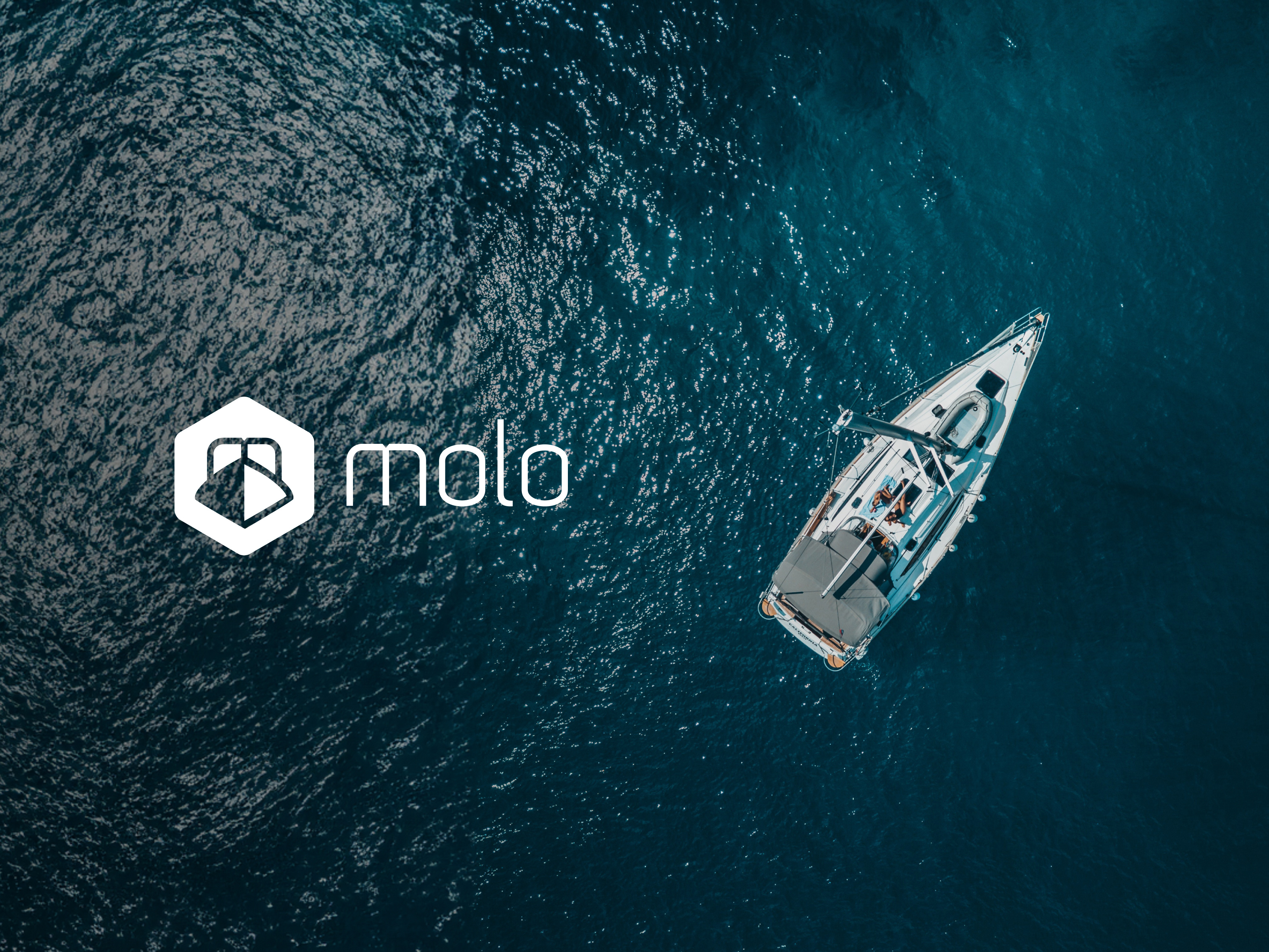 Molo • UX / UI / Web Design illustration ui design ux design web design