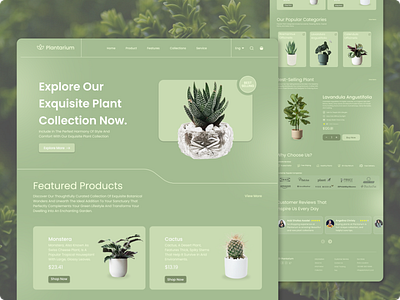 Plantarium - Landing Page For Plant Sales Website animation cactus flower flower shop graphic design green landing page minimalis monstera motion graphics olive plant plant sales plants sage tranding tree ui user interface websites ui