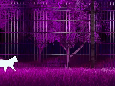 Life form 2d 3d animation atmosphere cat cat animation cat robot cats character cyberpunk flowers graphic design motion graphics robot