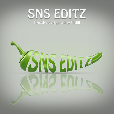 Creative Name Design Using Chilli app branding design graphic design illustration logo typography ui ux vector