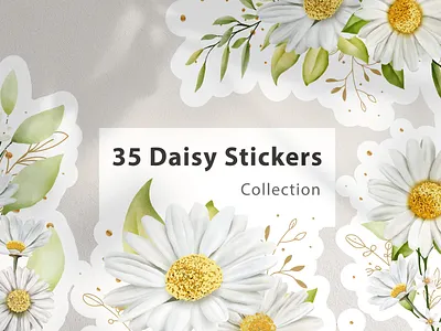 Floral daisy stickers collection elements illustration abstract