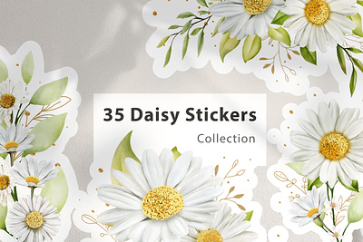 Floral daisy stickers collection elements illustration abstract