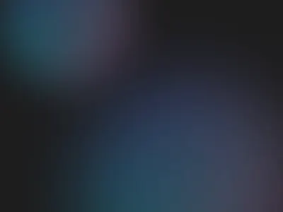 Plume Logo Animation animation branding logo motion graphics