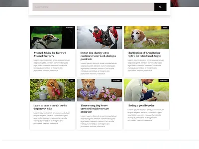 Complete Design by Dog Website css design dog website design ecommerce website html modern website mysql php responsive website responsive wordpress website wordpress wordpress design
