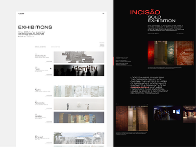 Redesign VHILS Alexandre Farto website concept dailyui design ui webdesign website