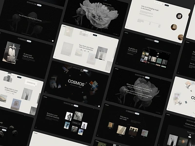 Cosmos Screens ui web web design website