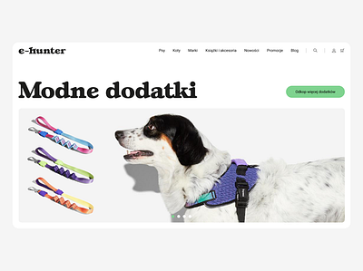e-hunter web design concept accessories branding cat color design desktop dog ecommerce graphic design logo minimal petshop ui uxui webdesign