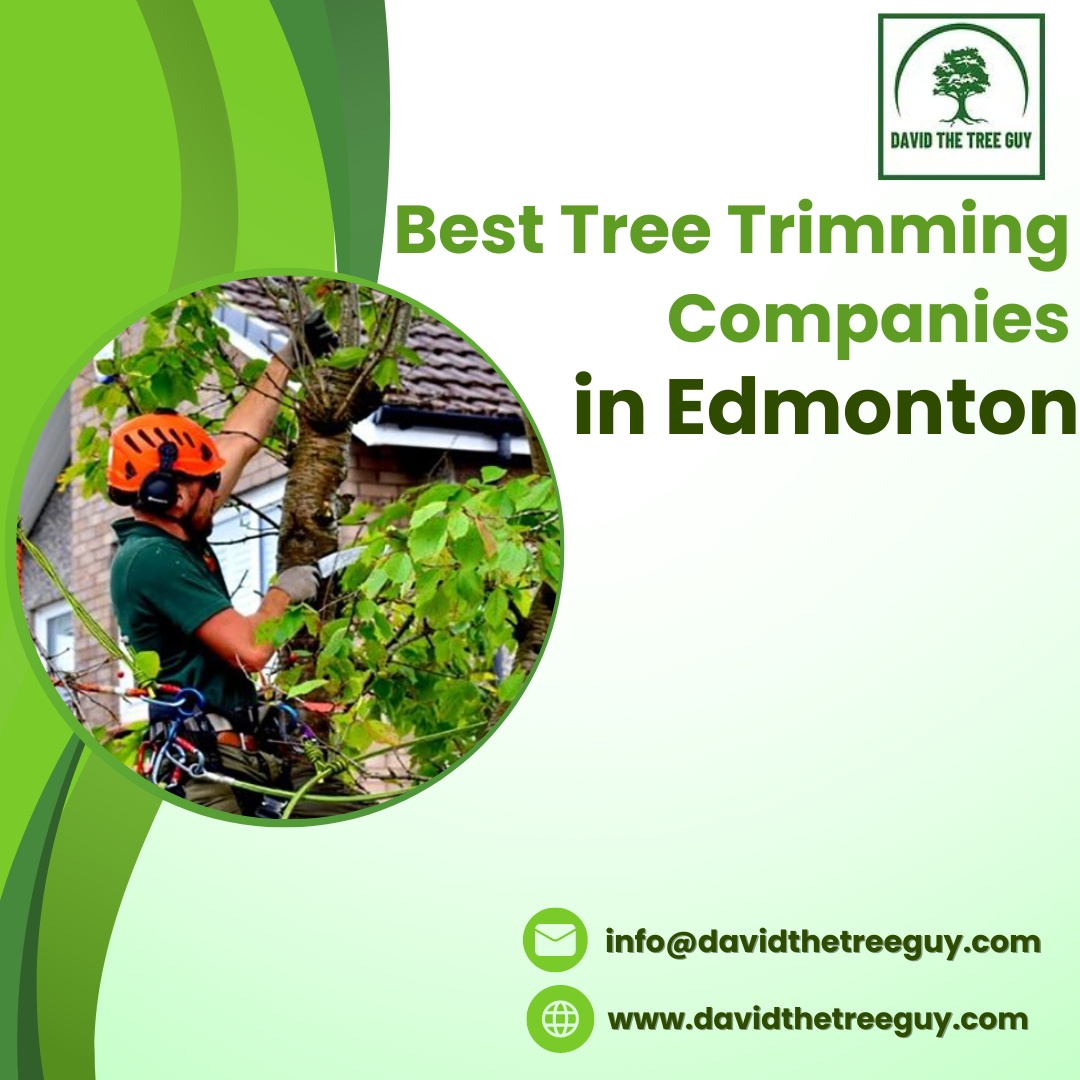 Best Tree Trimming Companies in Edmonton by David The Tree Guy on Dribbble