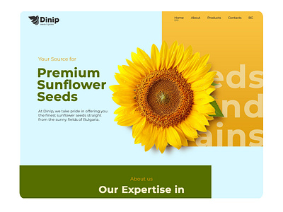 Dinip home page preview graphic design ui ux web website design